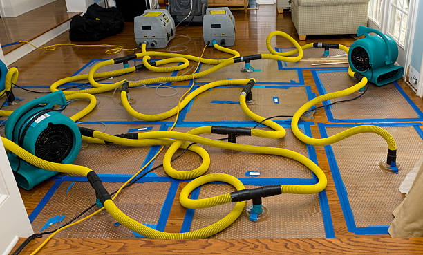 Professional Sewage Cleanup technician working in Lakeland, MI